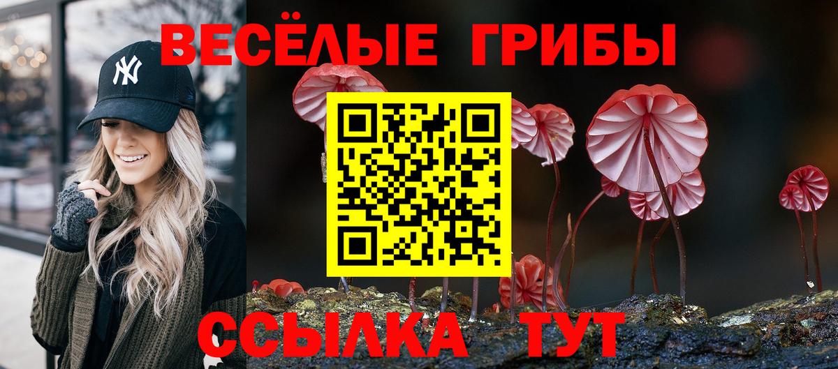 Псилоцибиновые грибы Psilocybine cubensis  закладка  Кушва  Вход с VPN 